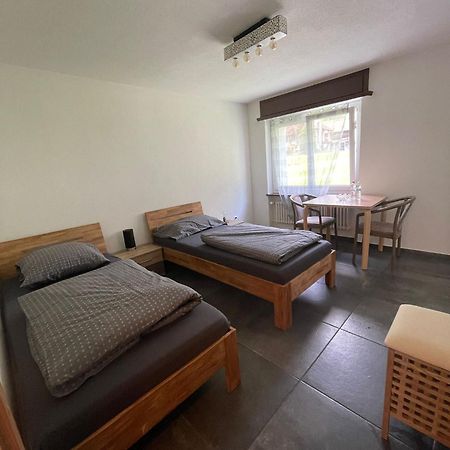Ferienregion Andermatt - Studio In فيسين المظهر الخارجي الصورة